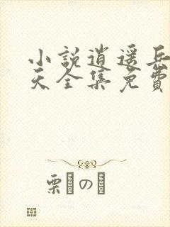 小说逍遥兵王洛天全集免费阅读