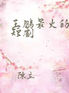 王鹏最火的十部短剧