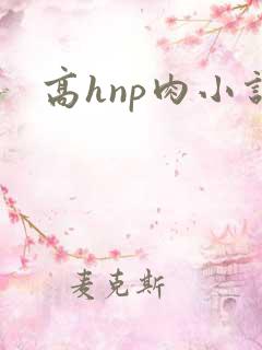 高hnp肉小说