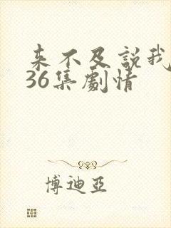 来不及说我爱你36集剧情