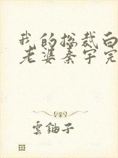 我的总裁白富美老婆秦宇完结版
