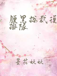 腹黑总裁复婚请排队