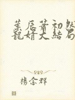 叶辰萧初然上门龙婿大结局