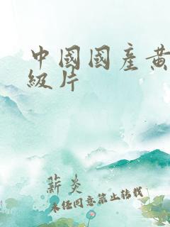 中国国产黄色一级片