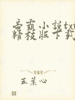 帝霸小说txt精校版下载