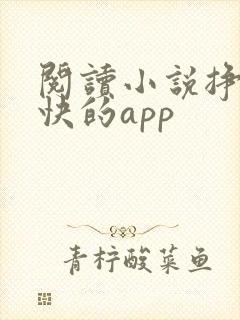 阅读小说挣钱最快的app