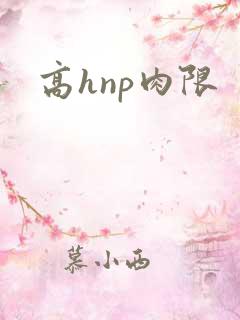 高hnp肉限