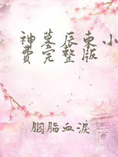 神墓辰东小说免费完整版