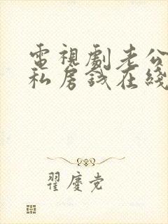 电视剧老公们的私房钱在线观看
