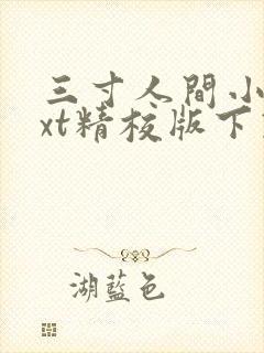 三寸人间小说txt精校版下载