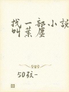 找一部小说主角叫叶尘