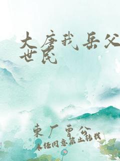 大唐我岳父是李世民