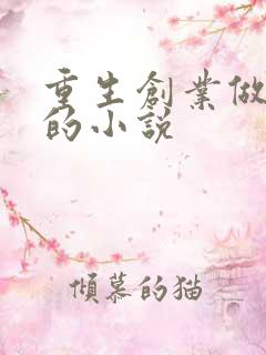 重生创业做手机的小说