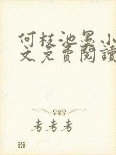 何枝池墨小说全文免费阅读