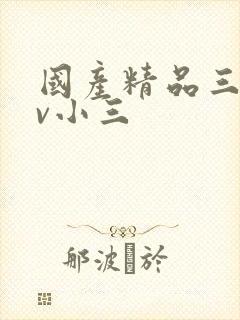 国产精品三级av小三