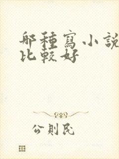 哪种写小说软件比较好