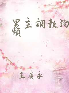 男主调教狗奴视频