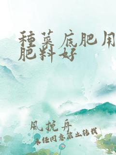 种菜底肥用什么肥料好
