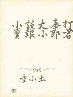 小说大奉打更人卖报小郎君正版