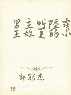 男主叫陆霆琛女主姓夏的小说