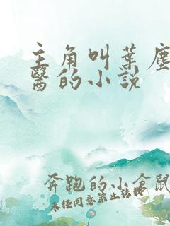 主角叫叶尘是神医的小说