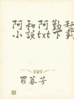 阿和阿勤赶海的小说txt下载
