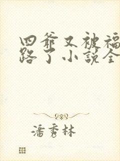 四爷又被福晋套路了小说全文阅读