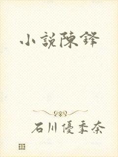 小说陈锋