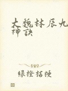 大魏林辰九天斩神诀