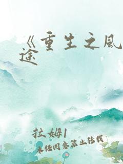 《重生之风流仕途