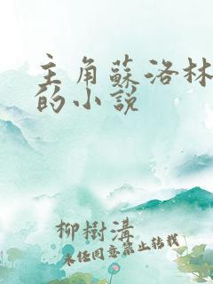 主角苏洛林妙颜的小说