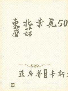 东北常见50种蘑菇