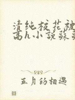清纯校花被脔哭高h小说苏苏