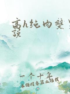 高h纯肉双男小说