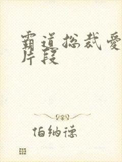 霸道总裁爱上我片段