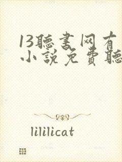 13听书网有声小说免费听书全本