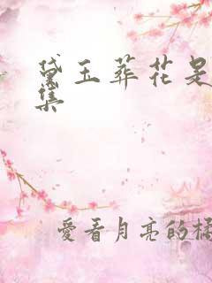 黛玉葬花是第几集