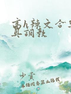 高h辣文合集道具调教