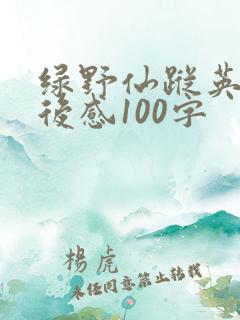 绿野仙踪英文读后感100字