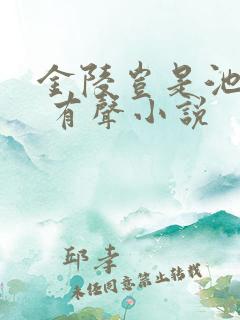金陵岂是池中物 有声小说
