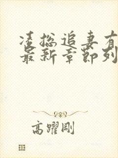 凌总追妻有点甜最新章节列表