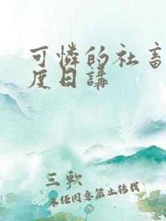 可怜的社畜 东度日讲