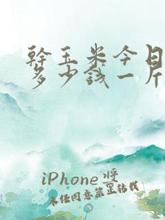 干玉米今日价格多少钱一斤