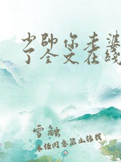 少帅你老婆又跑了全文在线阅读