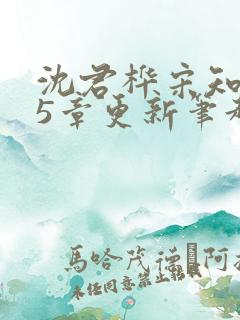 沈君桦宋知意35章更新笔趣阁