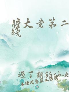 胆大党第二季在线