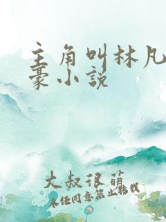 主角叫林凡的神豪小说