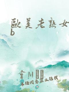 欧美老熟女bbb