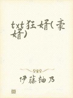 txt狂婿(豪婿)