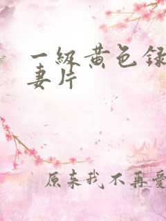 一级黄色录像夫妻片